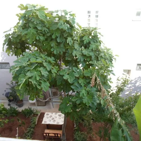 Lejlighedshotel Banana